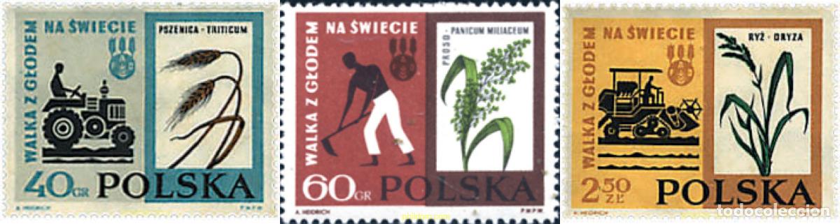 Sellos: 44028 MNH POLONIA 1963 CAMPA&Ntilde;A MUNDIAL CONTRA EL HAMBRE