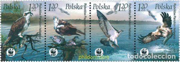 Sellos: 353443 MNH POLONIA 2003 PROTECCION DE LA NATURALEZA