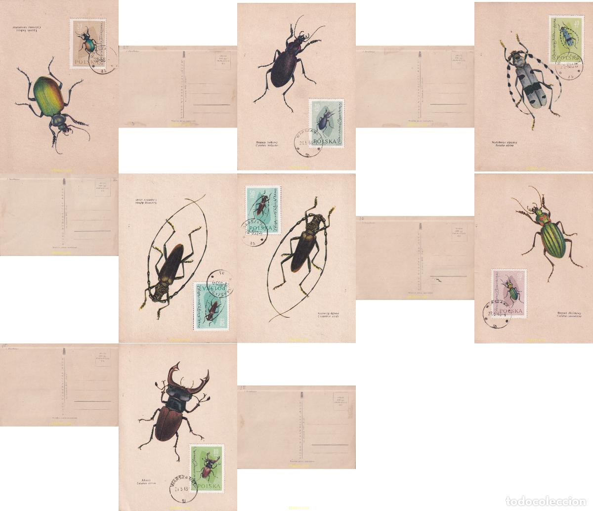 Sellos: 791521 USED POLONIA 1961 INSECTOS