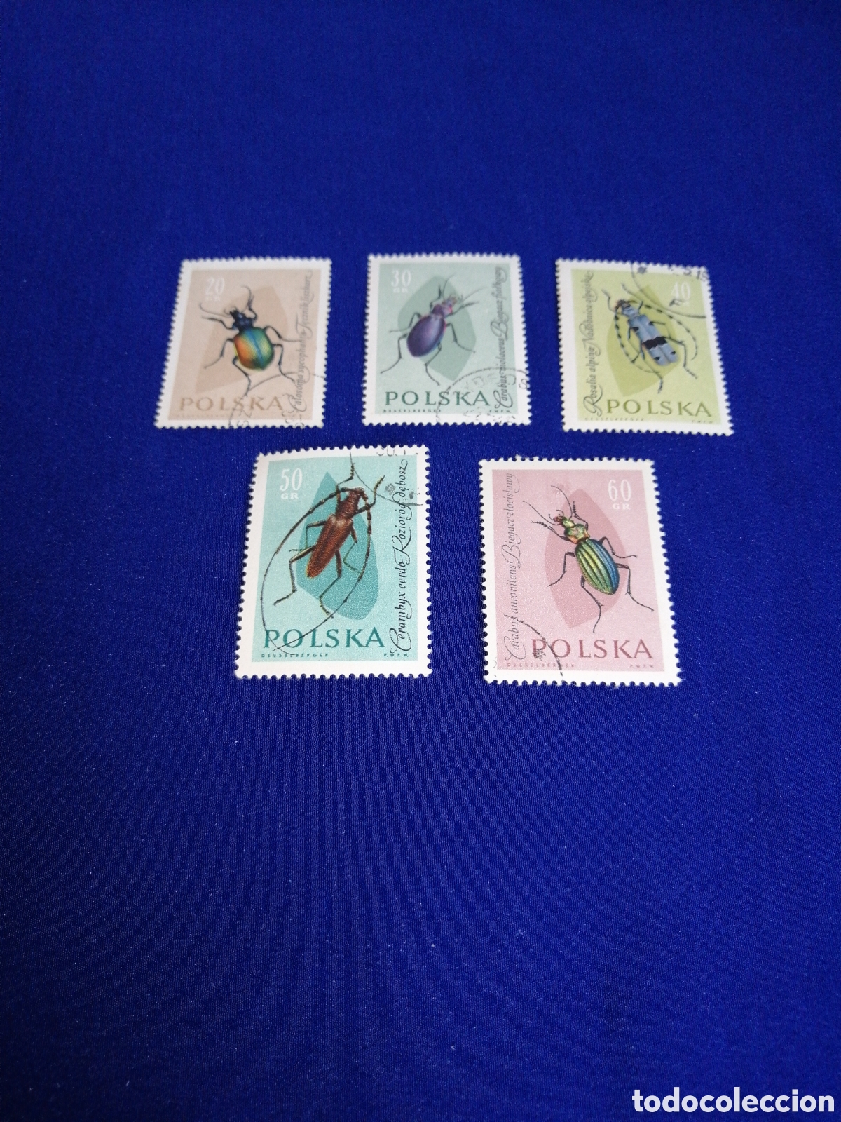 Sellos: POLSKA - POLONIA -INSECTOS LOTE SELLOS USADOS