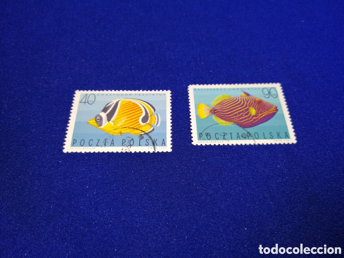 Sellos: POLSKA - POLONIA - PECES LOTE SELLOS USADOS