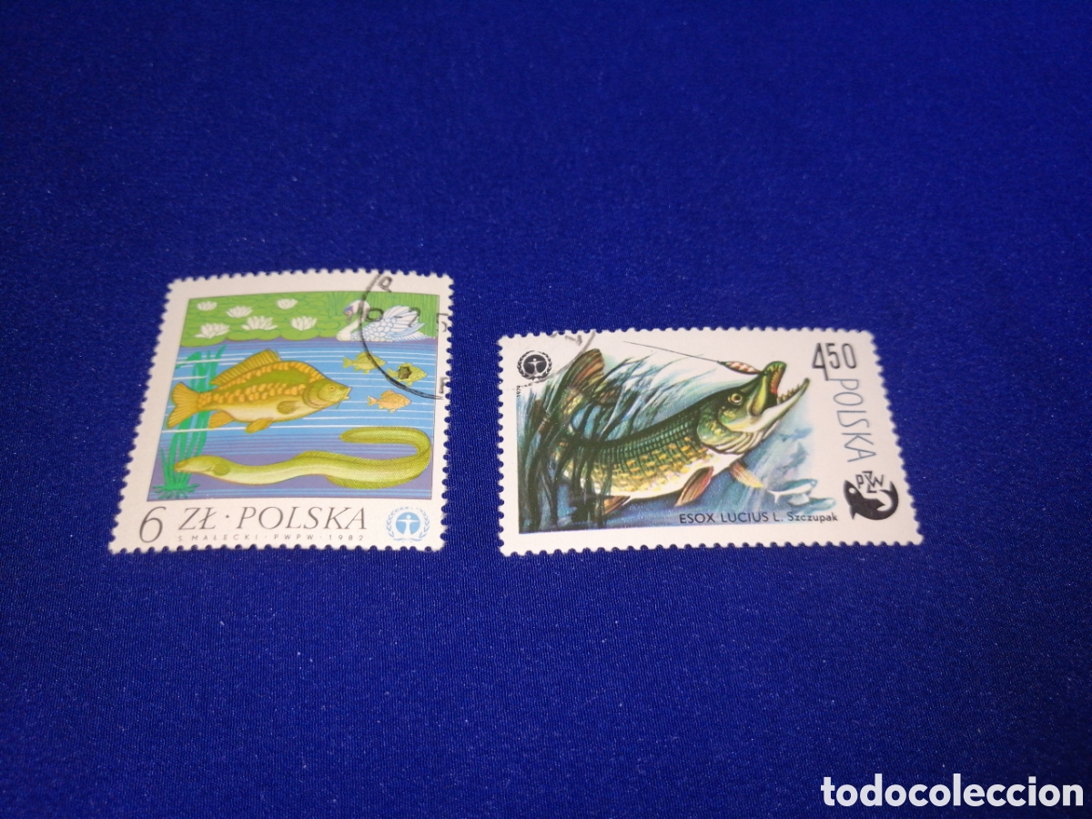 Sellos: POLSKA - POLONIA -PECES LOTE SELLOS USADOS