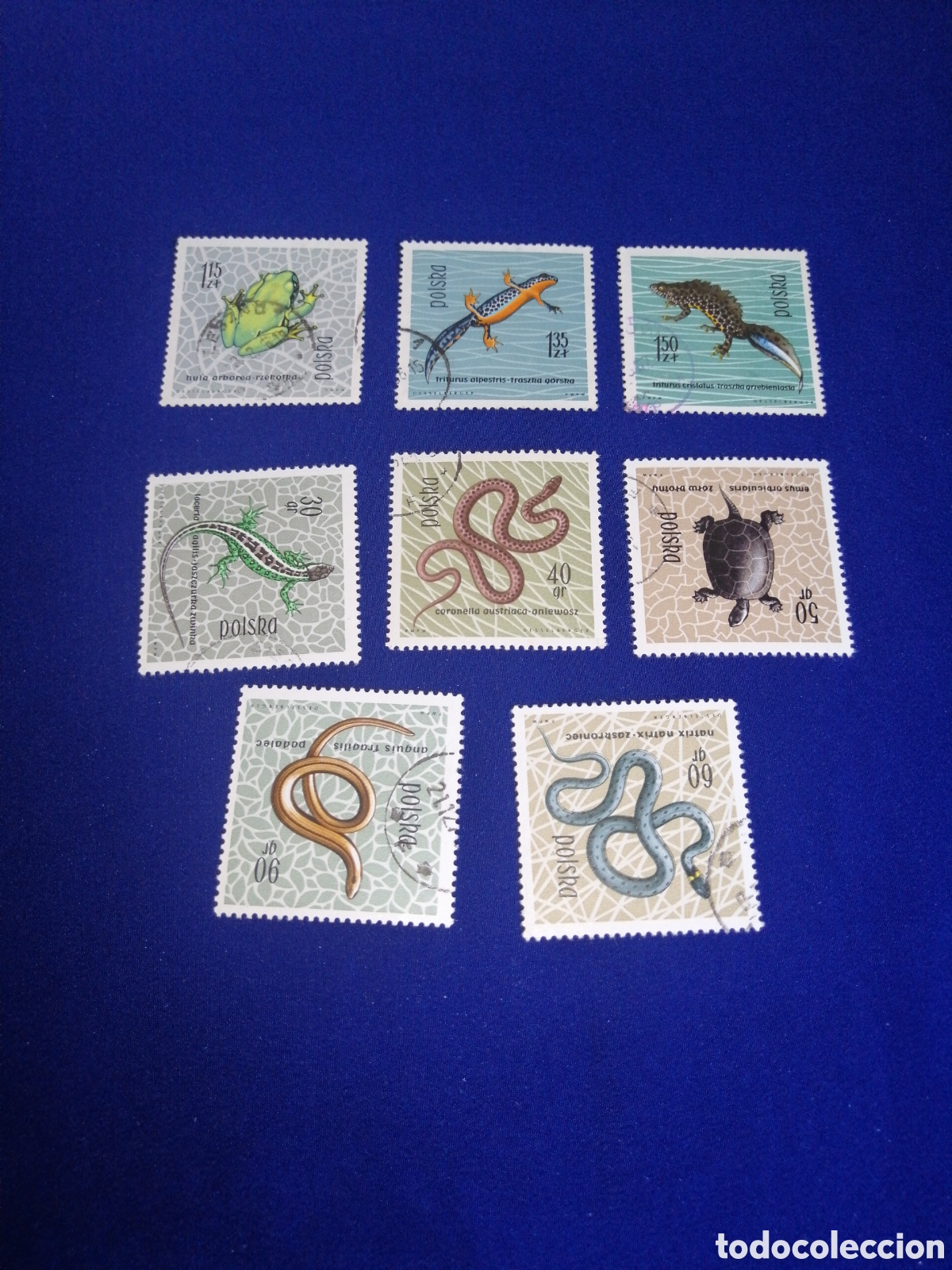Sellos: POLSKA - POLONIA - REPTILES LOTE SELLOS USADOS