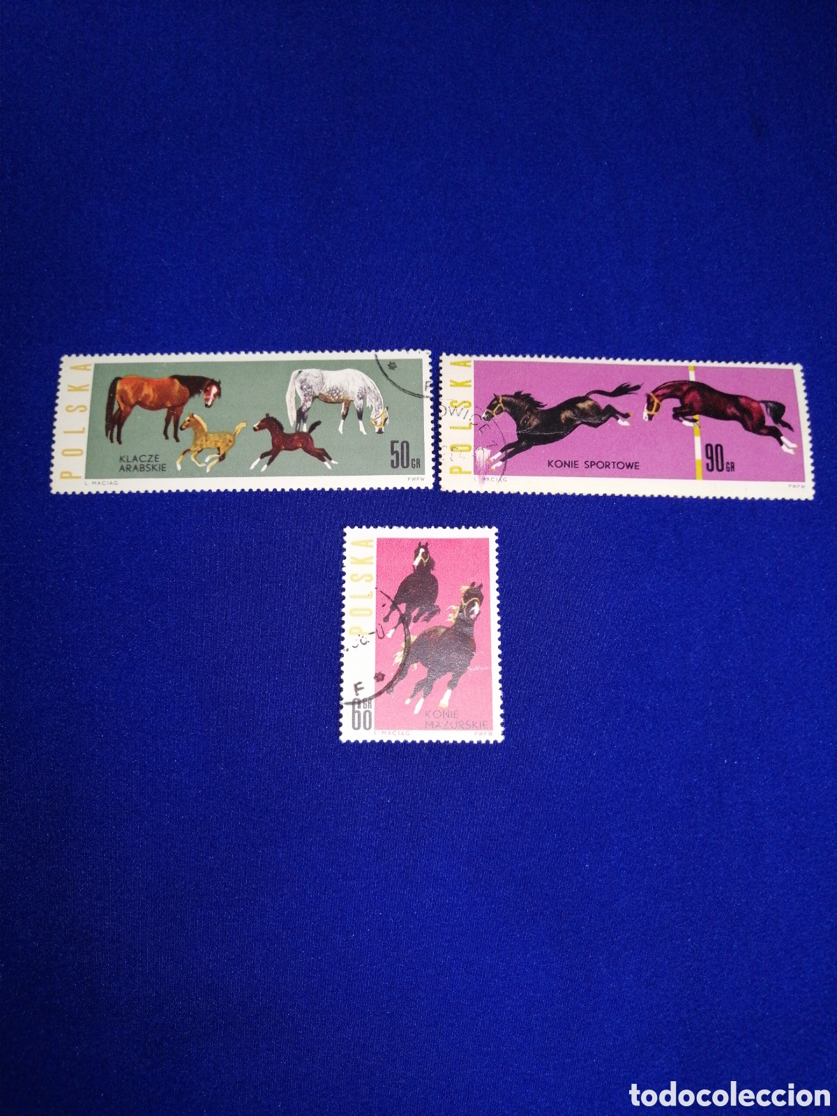 Sellos: POLSKA - POLONIA -CABALLOS LOTE SELLOS USADOS