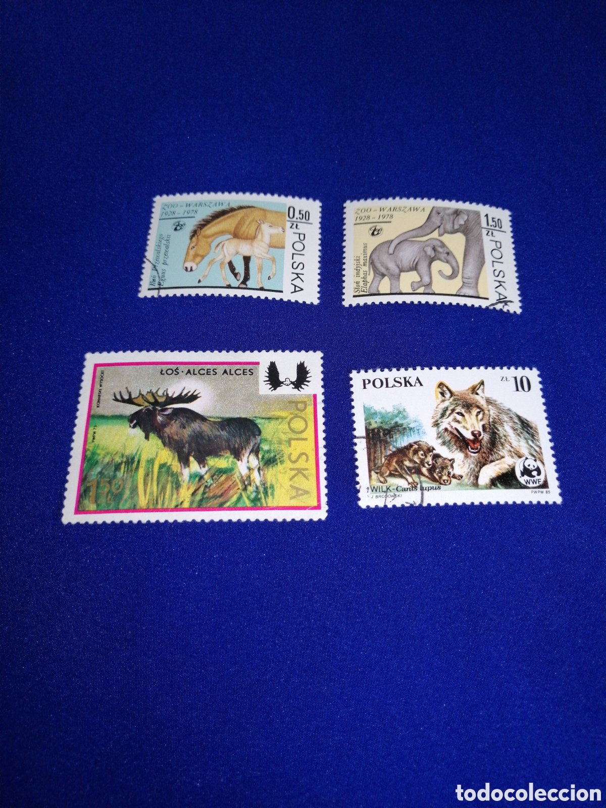 Sellos: POLSKA - POLONIA -ANIMALES LOTE SELLOS USADOS