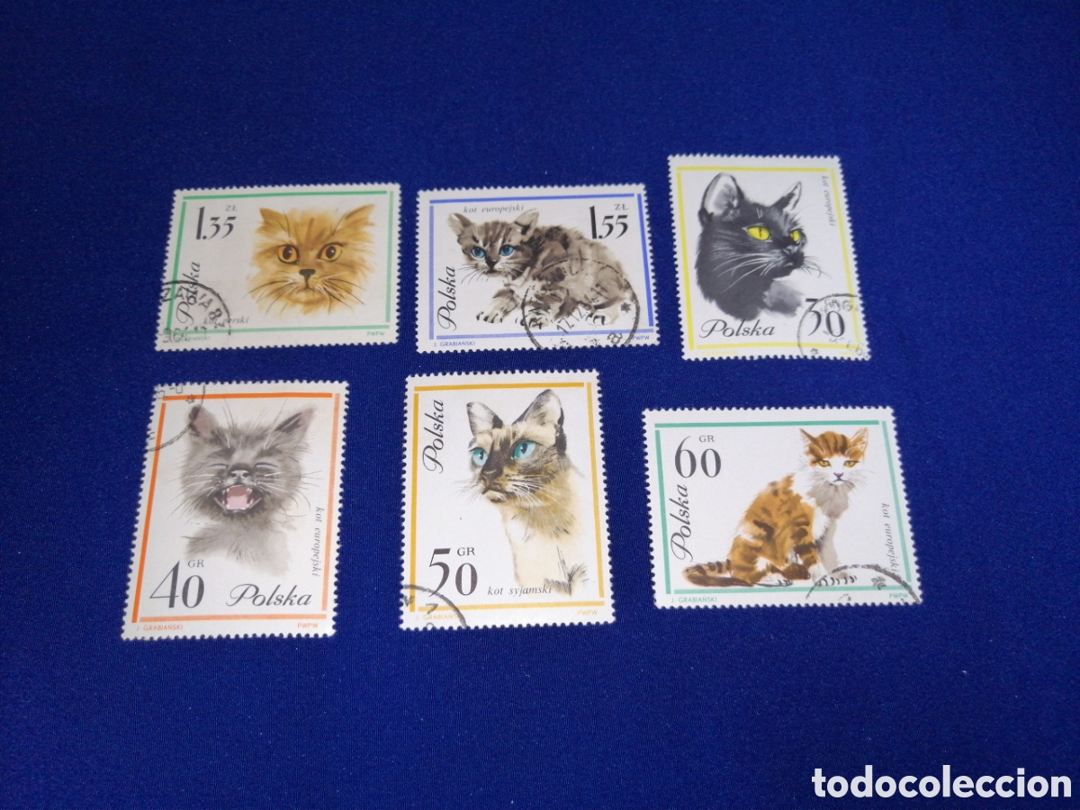 Sellos: POLSKA - POLONIA - GATOS - LOTE SELLOS USADOS
