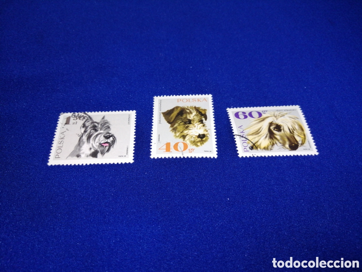Sellos: POLSKA - POLONIA -PERROS LOTE SELLOS USADOS