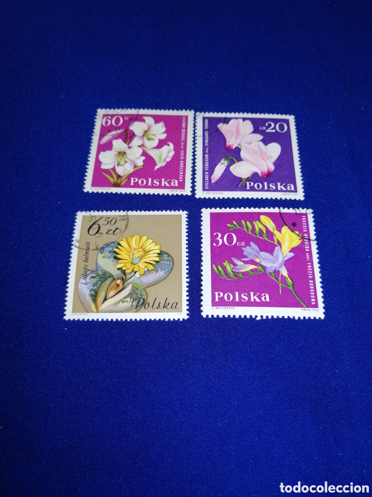 Sellos: POLSKA - POLONIA -FLORES LOTE SELLOS USADOS