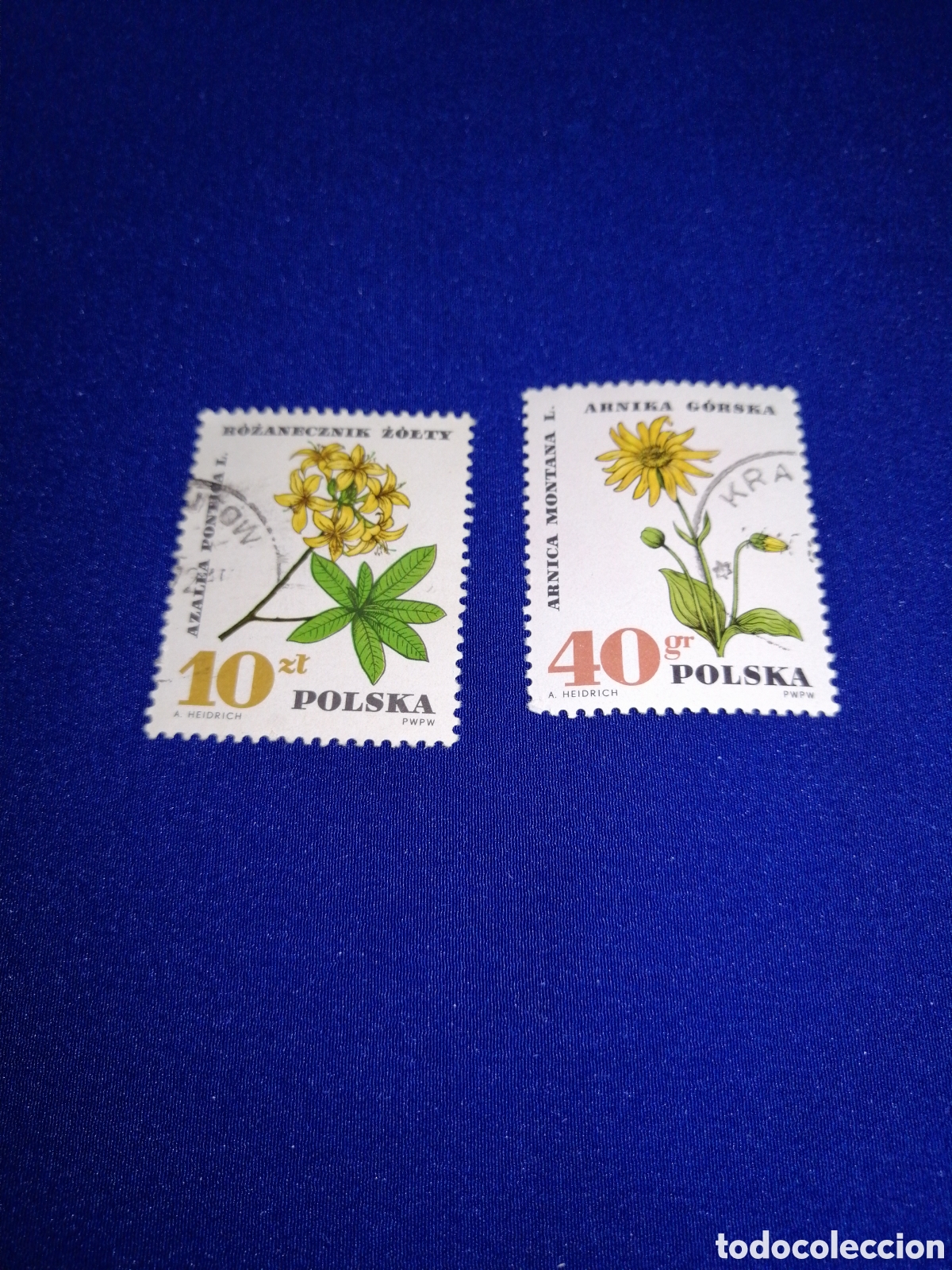 Sellos: POLSKA - POLONIA -FLORES LOTE SELLOS USADOS