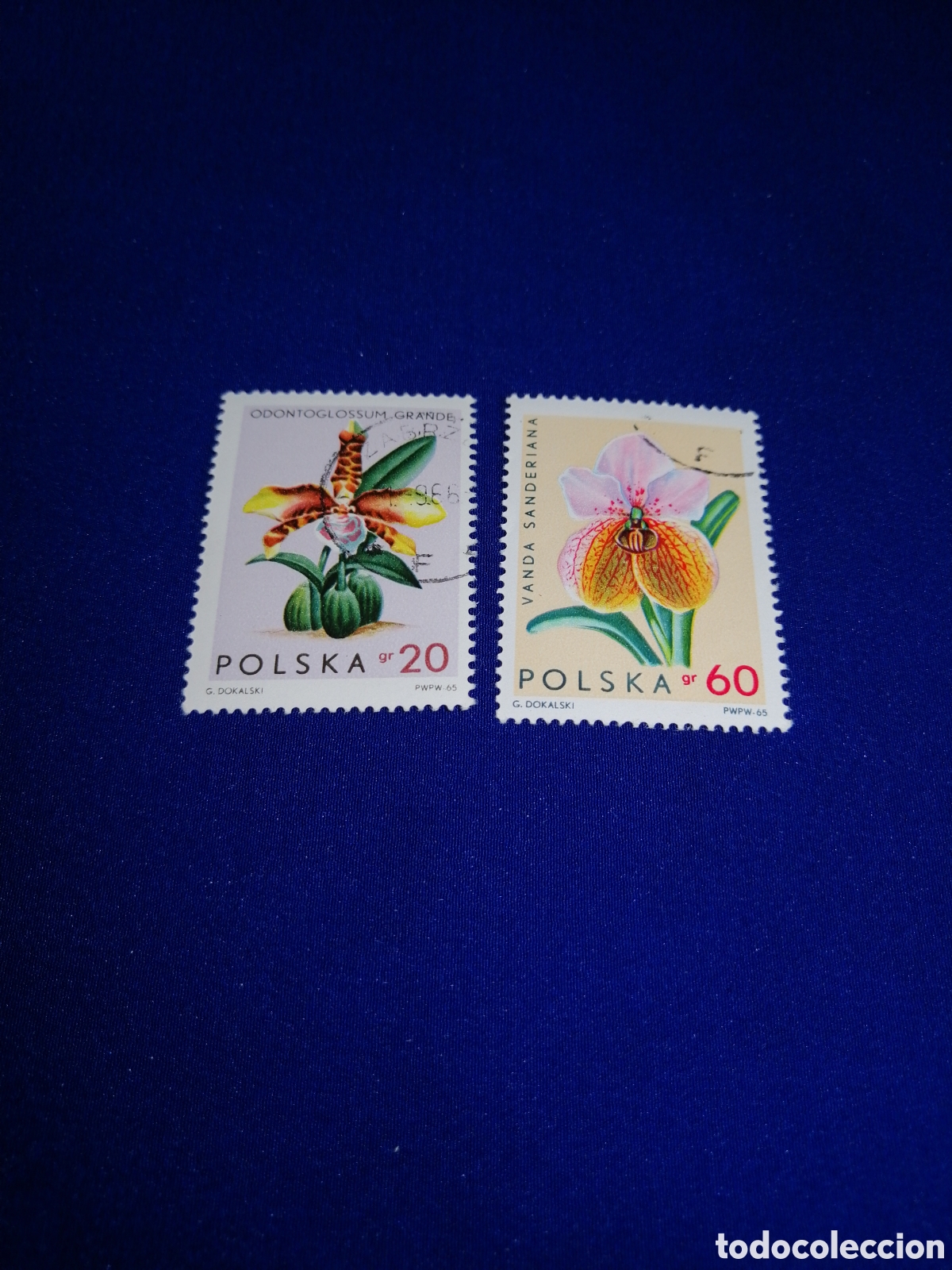 Sellos: POLSKA - POLONIA -FLORES LOTE SELLOS USADOS