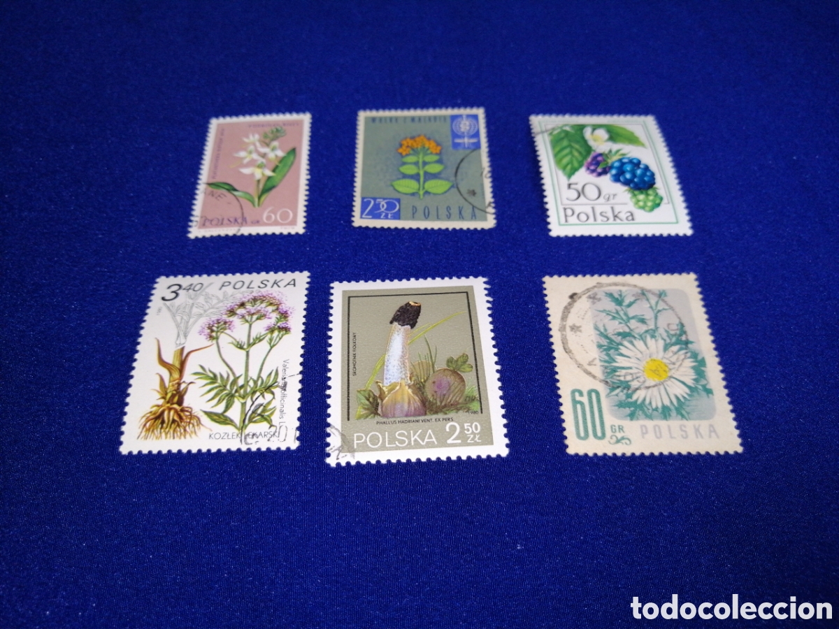 Sellos: POLSKA - POLONIA -FLORES LOTE SELLOS USADOS