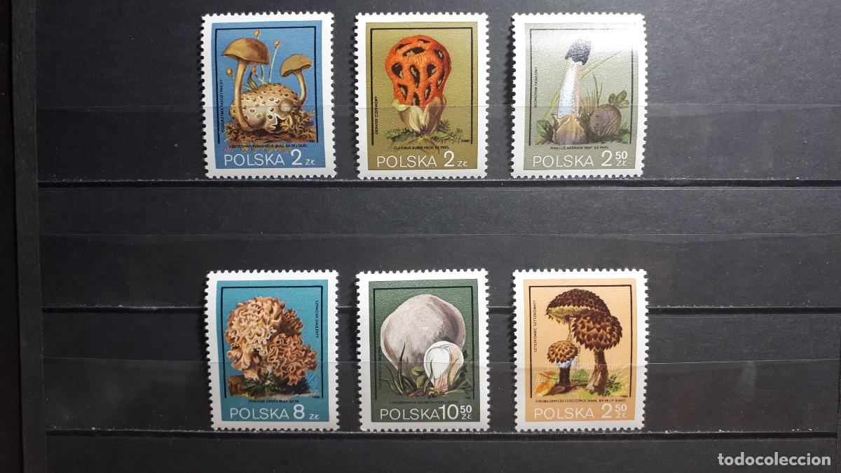 Sellos: POLONIA. FLORA. A&Ntilde;O 1980. **. YVERT 2510/5