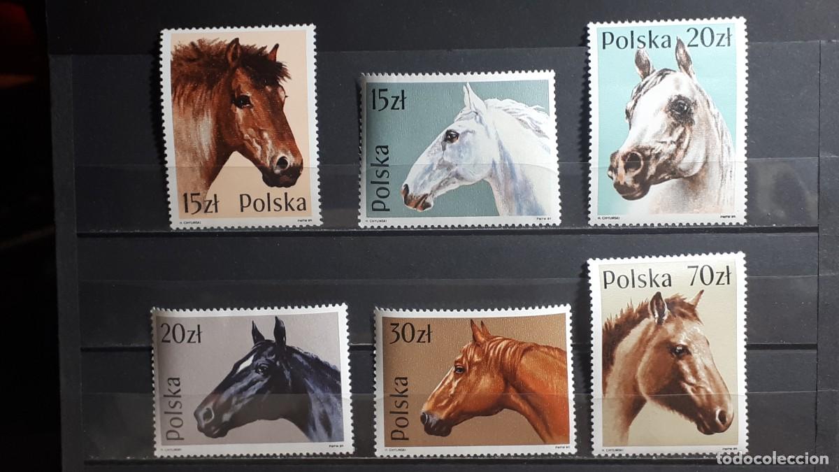 Sellos: POLONIA. A&Ntilde;O 1989. **. YVERT 2997/3002
