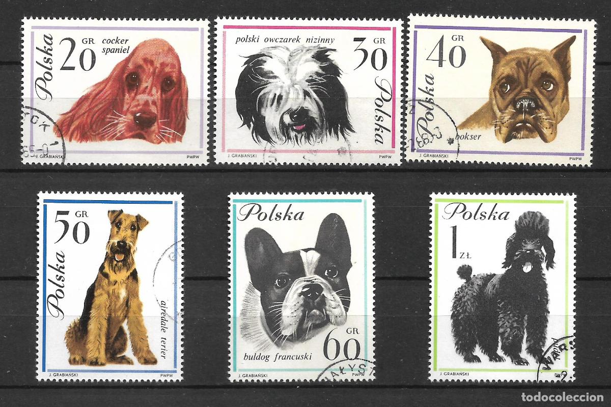 Sellos: polonia 1963 sellos usados ** razas de perros- 11/33