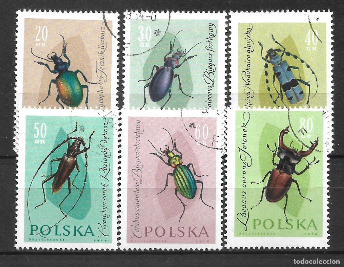 Sellos: polonia 1961 sellos insectos usado ** - 11/33