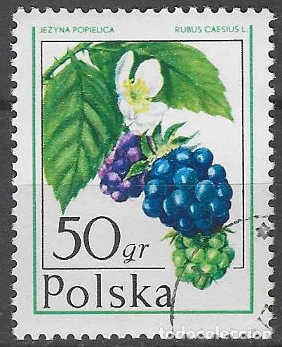 Sellos: POLONIA 1977 - FRUTAS DEL BOSQUE - USADO