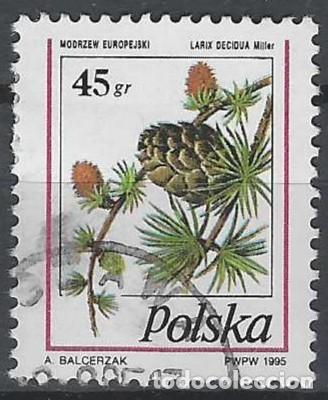 Sellos: POLONIA 1995 - PLANTAS CON&Iacute;FERAS - USADO