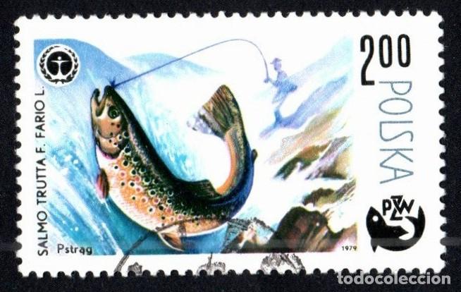 Sellos: Polonia. Centenario de la Pesca Deportiva. Trucha, 1979. YT-2444. Nuevo, matasello cortes&iacute;a.