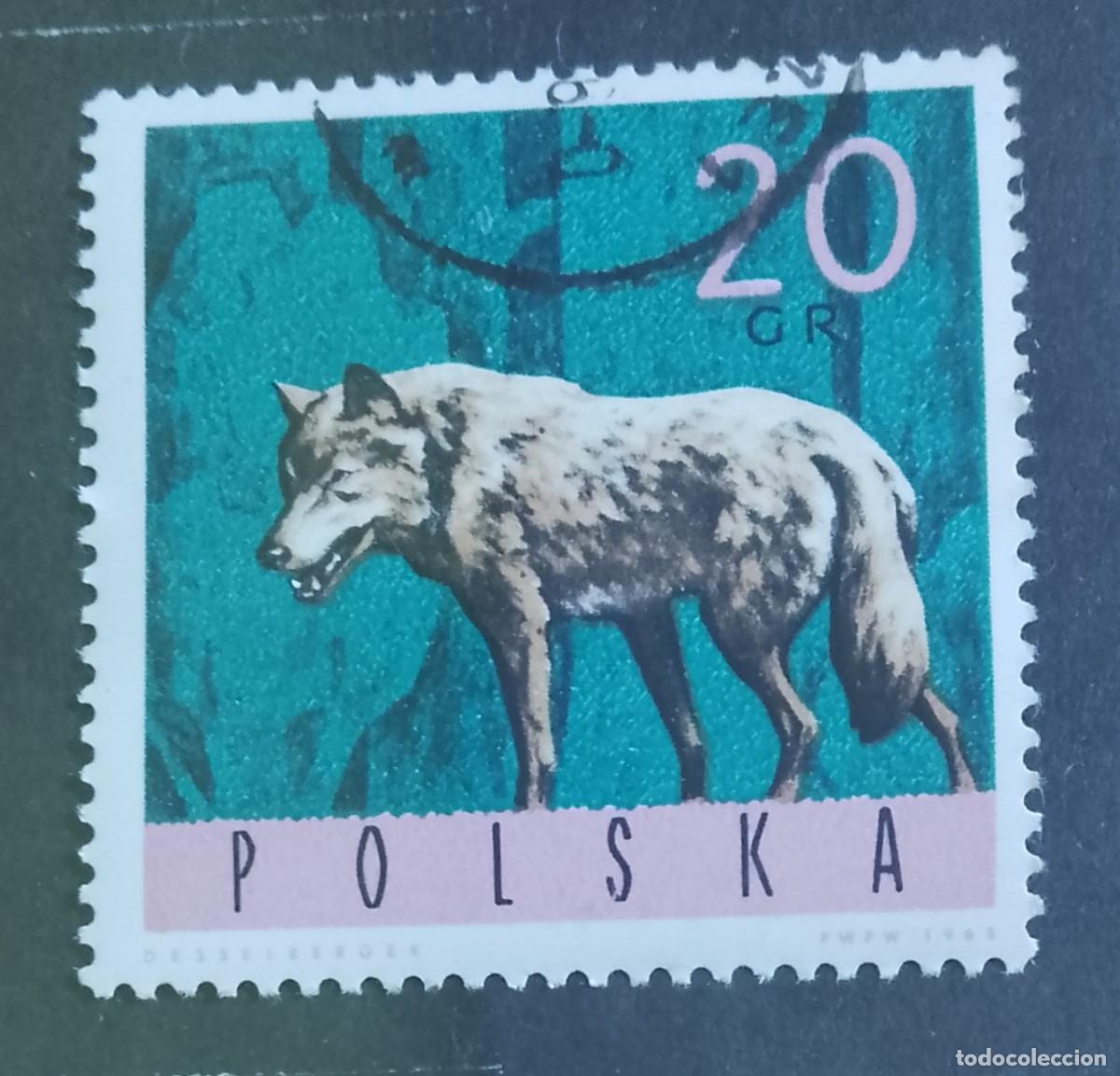 Sellos: POLONIA - V/F 20 GR - A&Ntilde;O 1965 - FAUNA, LOBO