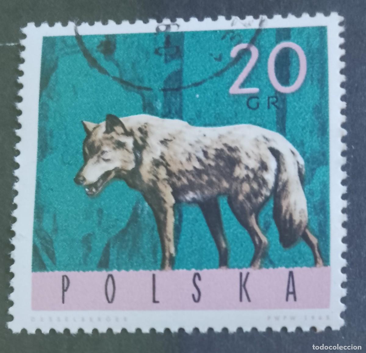 Sellos: POLONIA - V/F 20 GR - A&Ntilde;O 1965 - FAUNA, LOBO