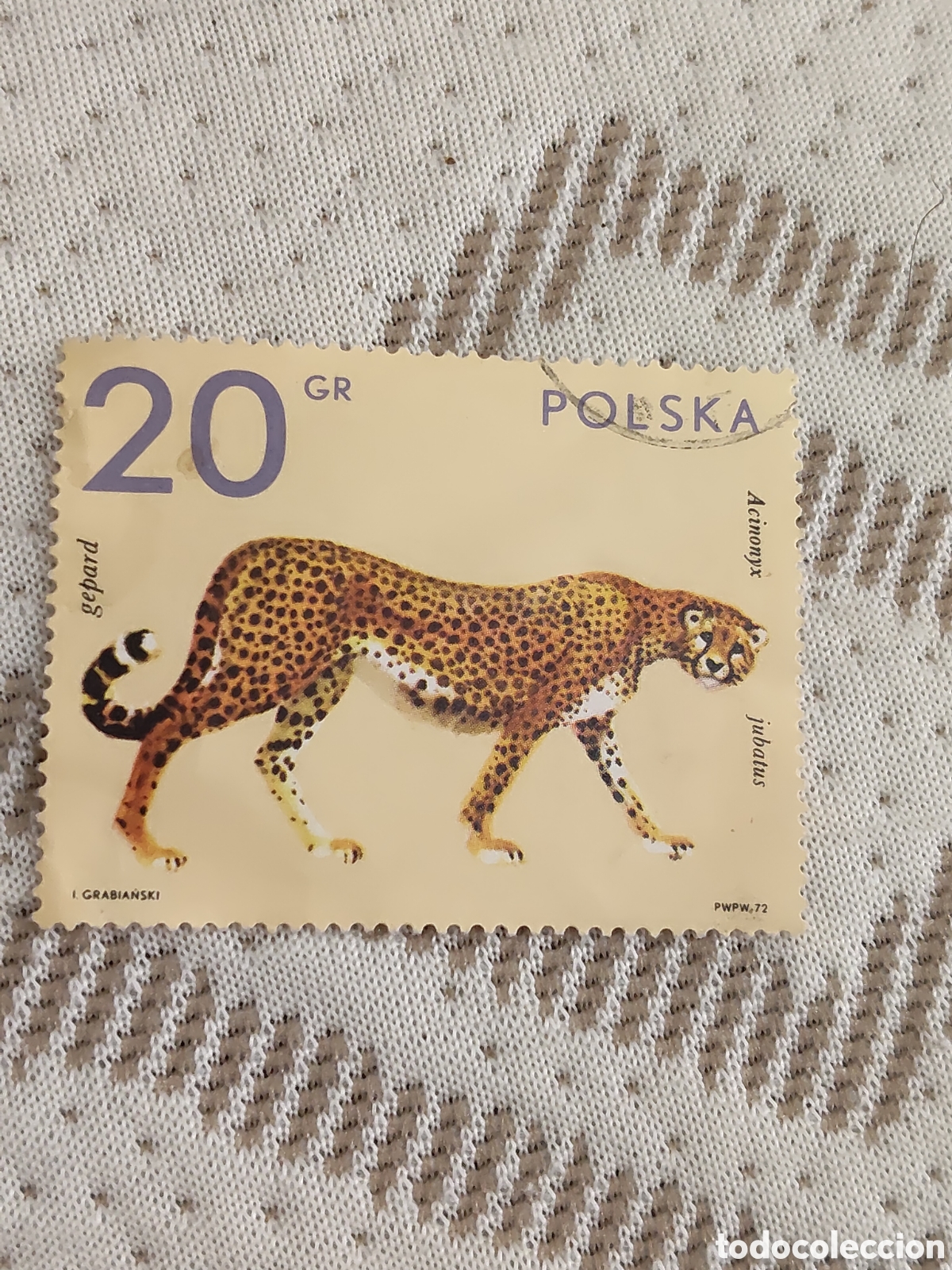 Sellos: Sello de Polonia Fauna Guepardo 1972 muy bueno