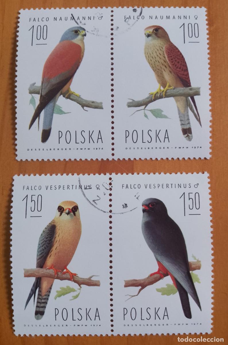 Sellos: POLONIA - V/F 1 Y 1,50 - FAUNA, AVES - LOTE DE 2 TIRAS, CON 4 SELLOS - VER DESCRIPCI&Oacute;N
