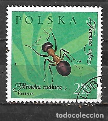 Sellos: 1961: Insectos - Hormiga roja (CTO)