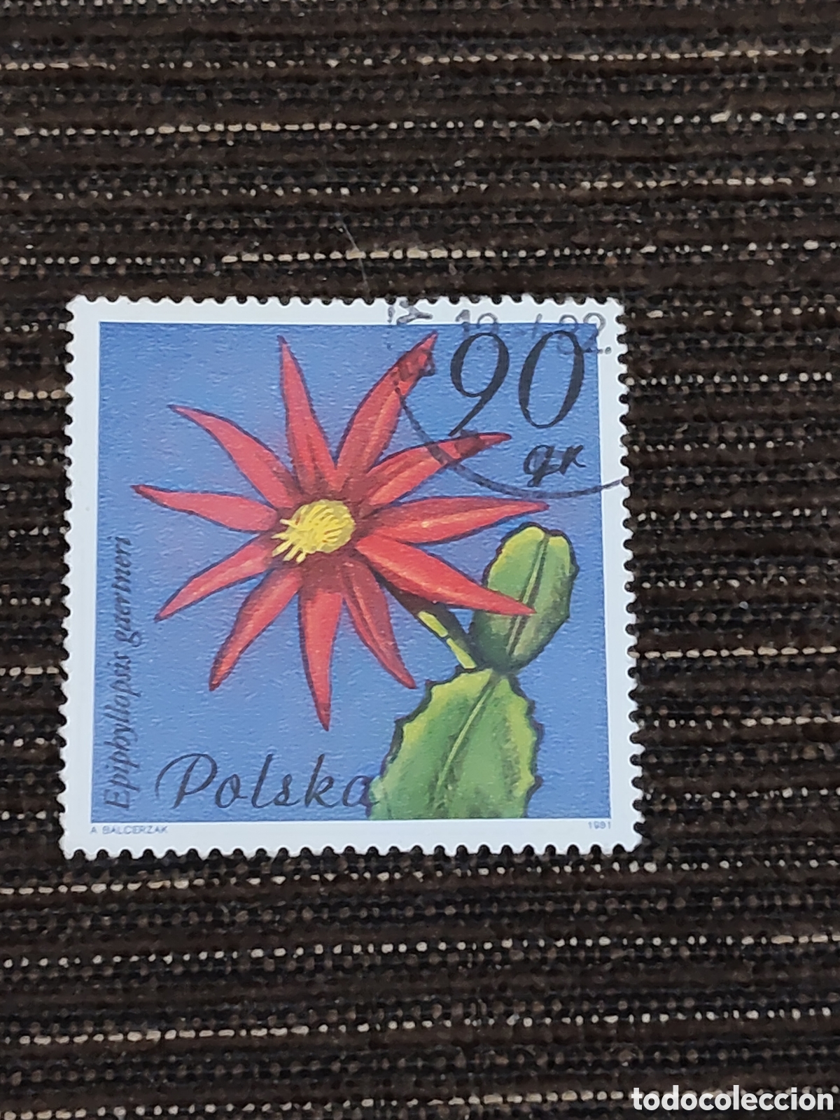 Sellos: Sello de Polonia serie flores de suculentas 1981