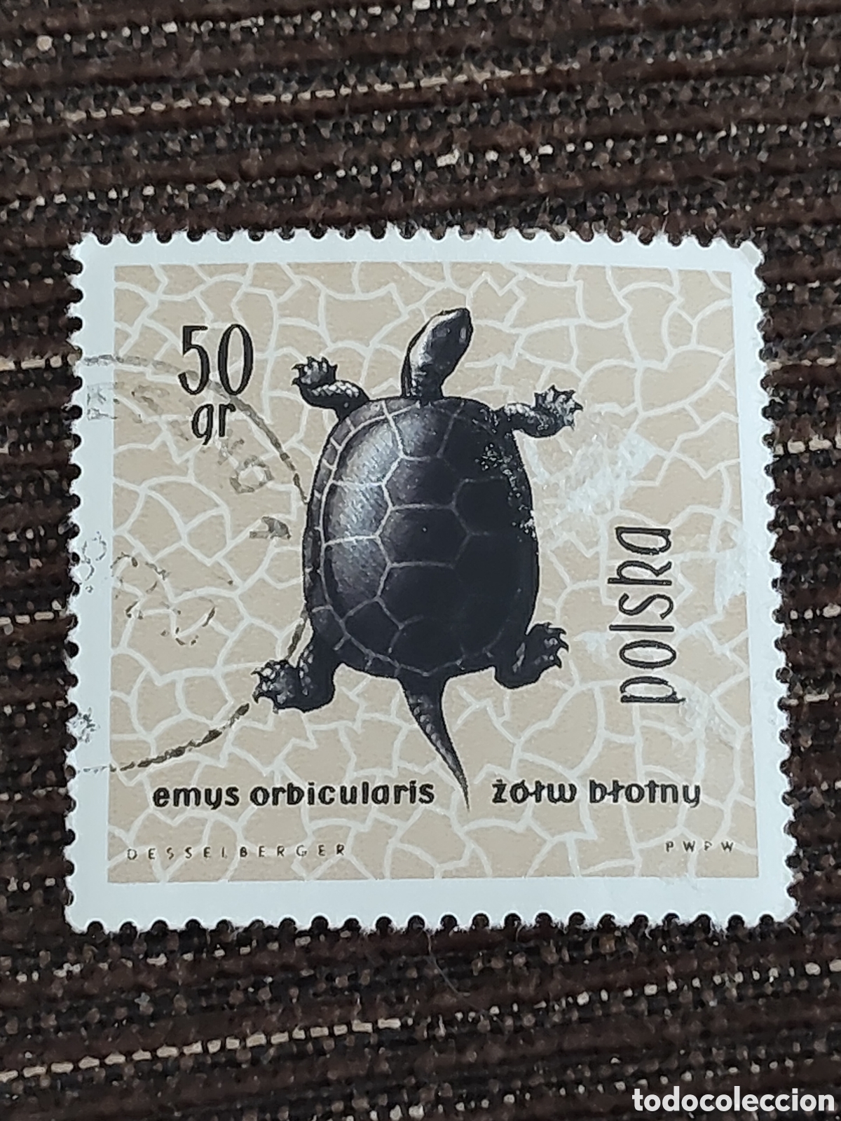 Sellos: Sello de Polonia serie de reptiles y anfibios protegidos 1963