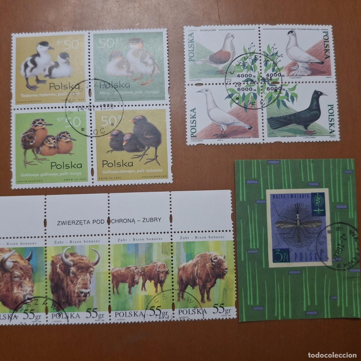 Briefmarken: HB97 HOJITAS BLOQUE de POLONIA en usado ideal para tematicas (leer descripcion)