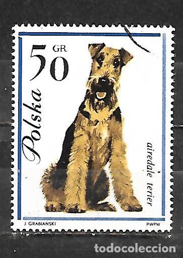 Sellos: 1963: Perros - Terrier Airedale (CTO)