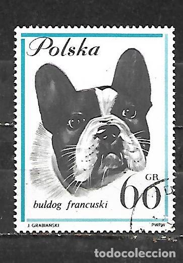 Sellos: 1963: Perros - Bulldog franc&eacute;s (CTO)