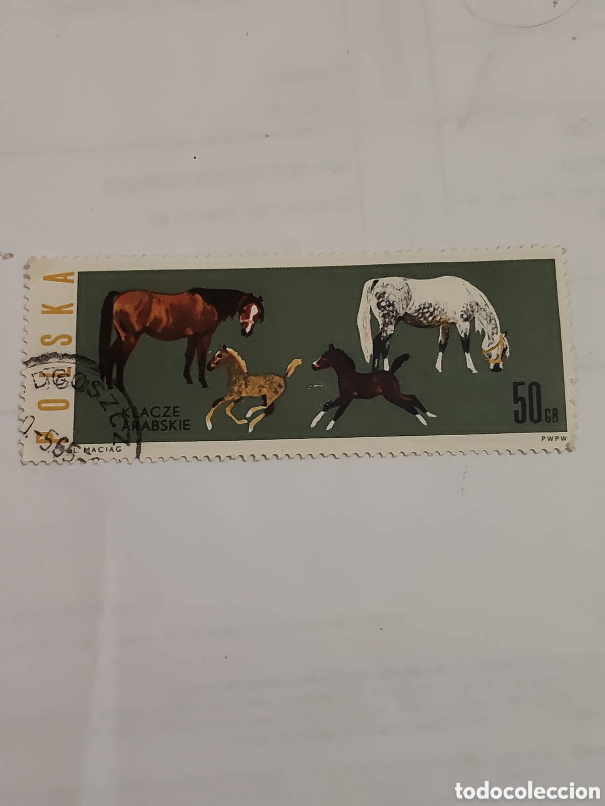Sellos: Sello de Polonia yeguas y potros &aacute;rabes 1963