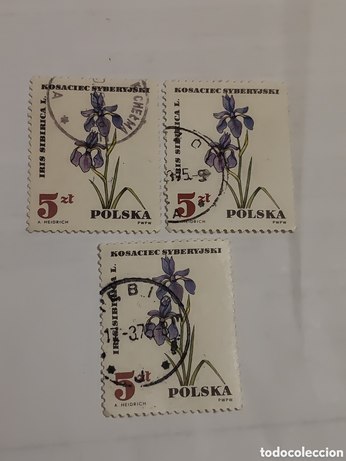 Selos: 3 sellos de Polonia plantas protegidas Iris Siberiano 1967