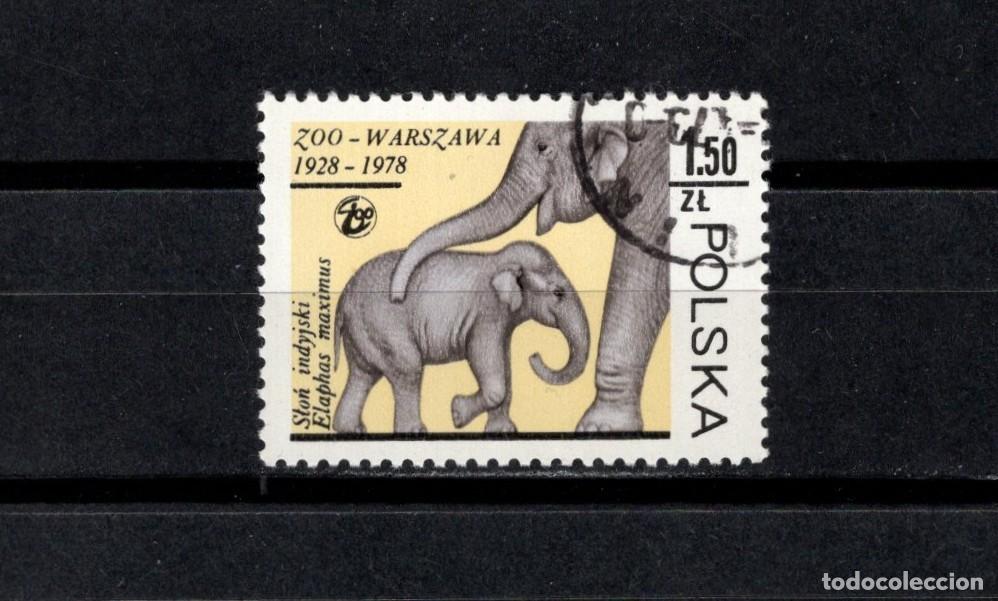 Timbres: Sello usado. Zoo de Varsovia. Elefante asi&aacute;tico. 1,50 zloty. 1978. Yvert 2416.