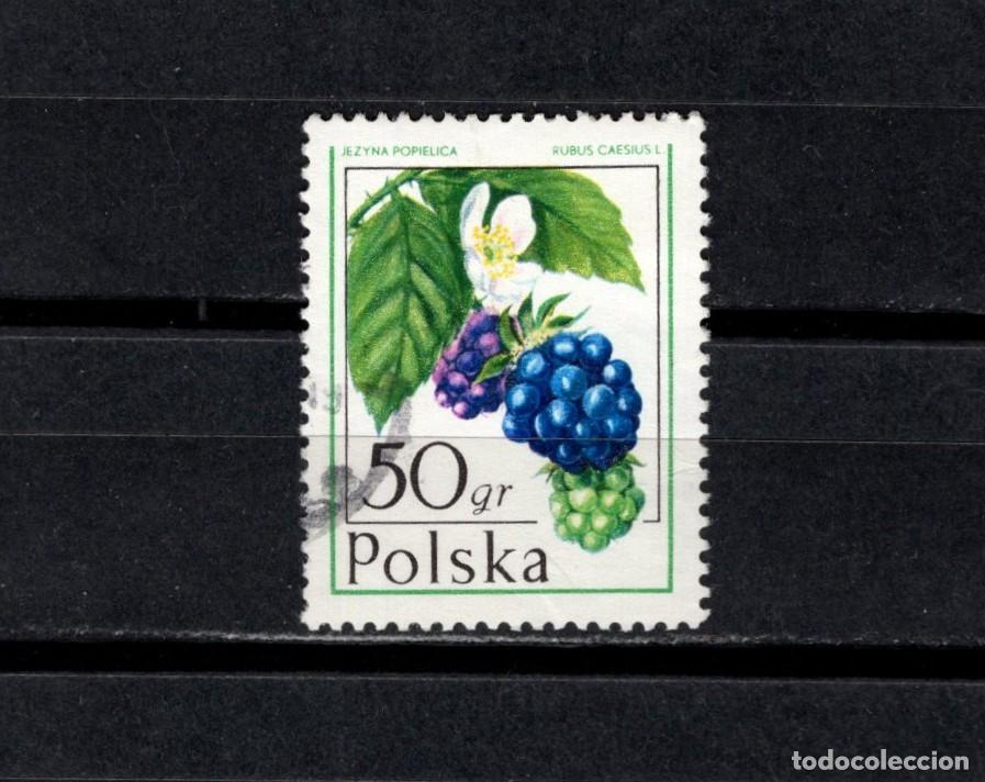 Timbres: Sello usado. Frutos. Zarza pajarera. 50 grosz. 1977. Yvert 2416.