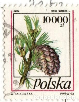 Sellos: Polonia. Fruto del Pino, 1993. YT-3252/3253. S. Completa. Usado