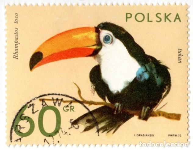 Sellos: Polonia. Ave. Toucan, 1972. YT-2009. S. completa. Usado