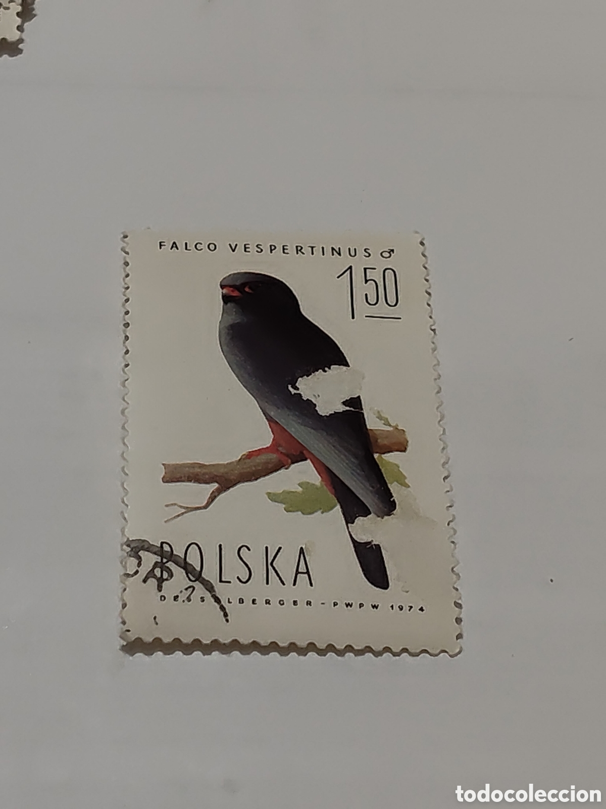 Sellos: Sello de Polonia Fauna Aves Cern&iacute;calo patirrojo 1975
