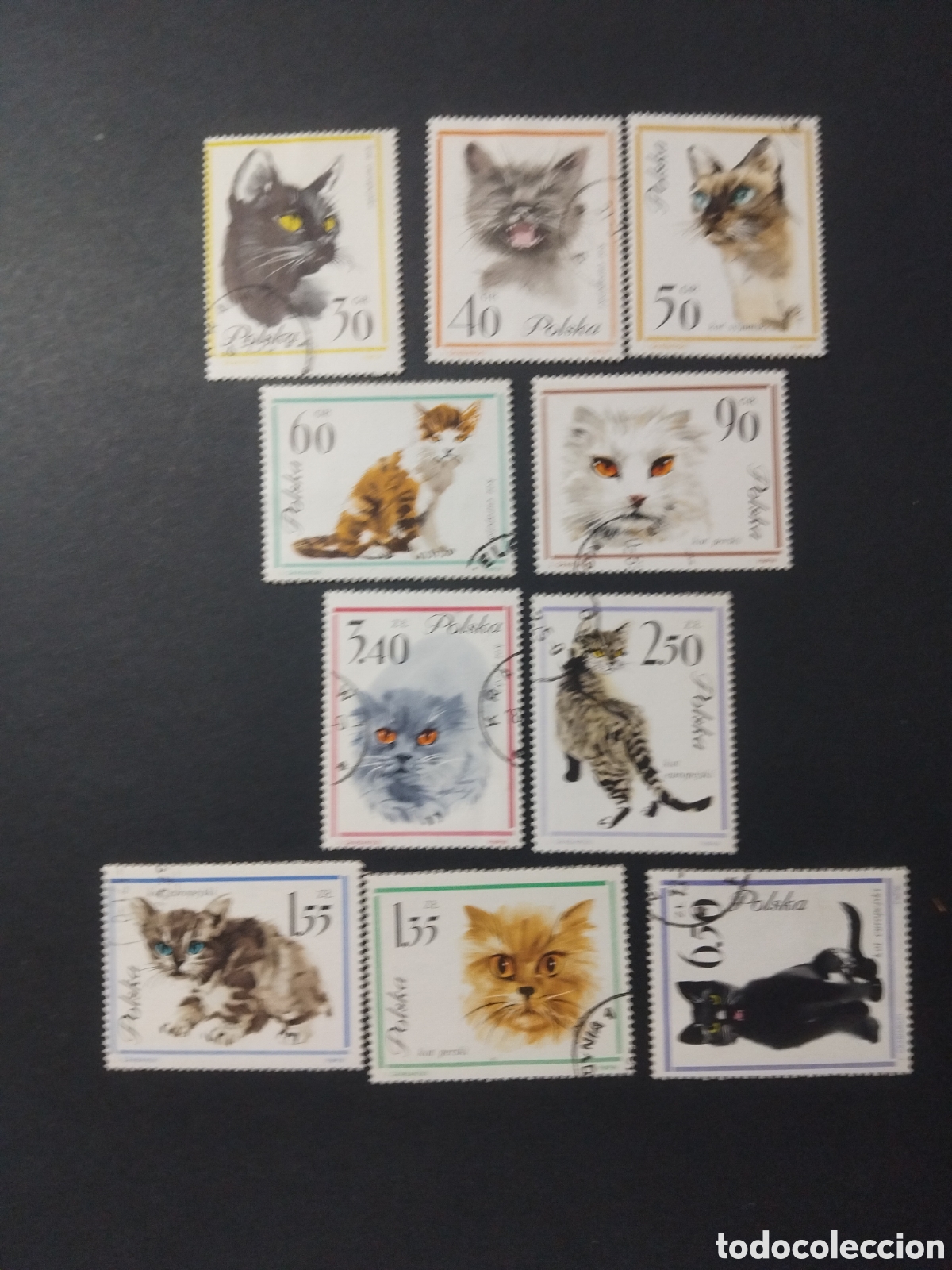 Sellos: Polonia. 1964. Gatos.