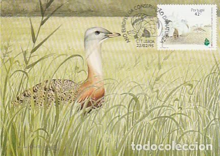 Sellos: Portugal & Maxi, A&ntilde;o Europeo de la Conservaci&oacute;n de la Naturaleza, Avutarda, Otis tarda 1995 (148)