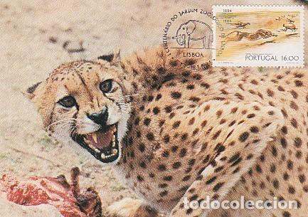 Sellos: Portugal & Maxima, 100 A&ntilde;os del Zool&oacute;gico de Lisboa, Chita, Acinonyx jubatus, Lisboa 1984 (50)