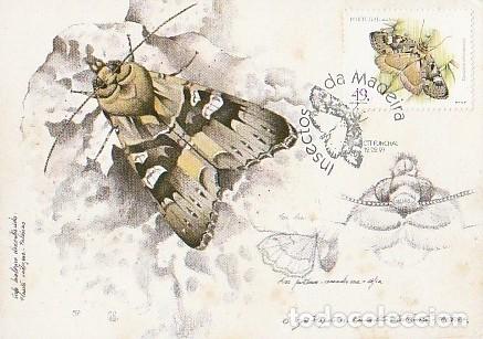 Sellos: Portugal & Maxima, Insectos de Madeira, Eumichtis albotigmata, Funchal 1997 (103)