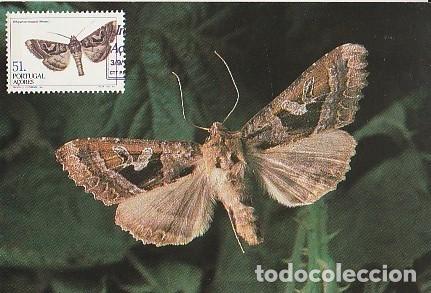 Sellos: Portugal & Maxima, Insectos de las Azores, phlogophora interrupta, Ponta Delgada 1984 (34)