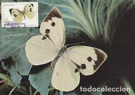 Stamps: Portugal & Maxima, Insectos de las Azores, Pieris brassicae, Ponta Delgada 1984 (32)