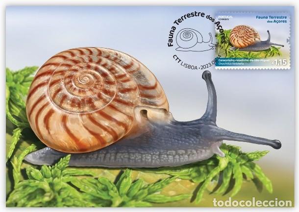 Timbres: Portugal & Maxima, Fauna Terrestre de Azores, Caracolino Raiadinho de Sao Miguel 2023 (97977)