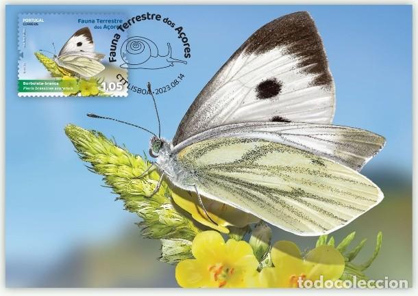 Timbres: Portugal & Maxima, Fauna Terrestre de Azores, Borboleta Blanca 2023 (97993)