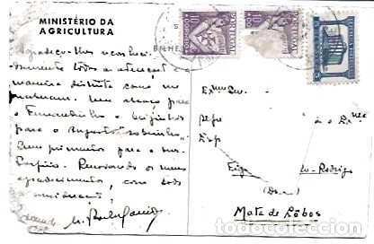 Sellos: Portugal y las uvas de mesa... Reina de la mesa, Do. Ministerio de Agricultura, Castelo Rodrigo 1938