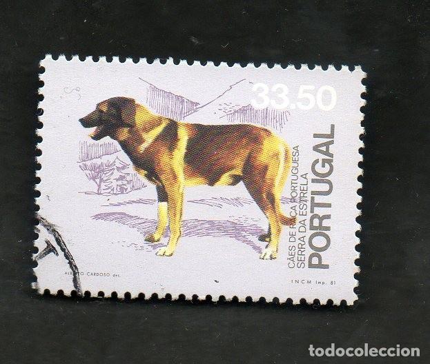 Sellos: FILA SELO PORTUGAL 1981 AF-1515 YVERT 1505 C&Atilde;ES RA&Ccedil;A PORTUGUESA CIRCULADO