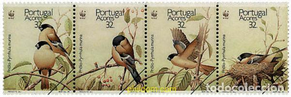 Sellos: 5213 MNH AZORES 1990 CAMACHUELO DE LAS AZORES